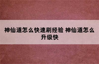 神仙道怎么快速刷经验 神仙道怎么升级快